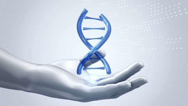 Abstract background with animation of rotation DNA helix in abstract hands of human. Animation of seamless loop.