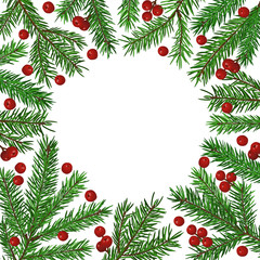 Background with realistic green fir tree branch and christmas berries. Place for text, congratulation. Christmas, New Year symbol.