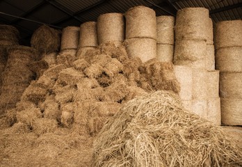 Stored Hay For Animals © Tomasz Zajda