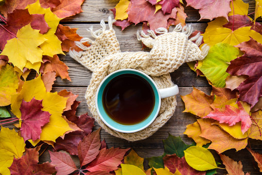 Autumn picture with a cup of tea in a scarf in autumn leaves