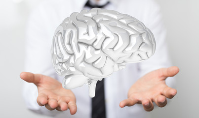 brain