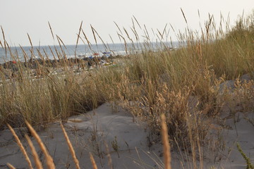 Playas de Portugal