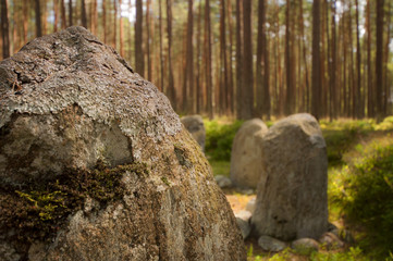 stones circles in Manowo, Grzybnica in Poland