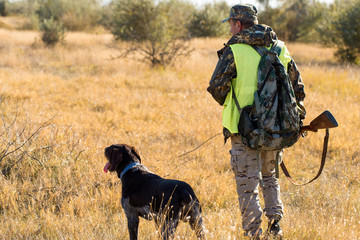 Hunter with a german drathaar and spaniel, pigeon hunting with dogs in reflective vests	