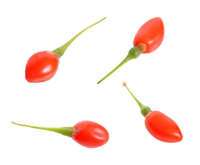 Goji berries or Lycium barbarum isolated on white background.
