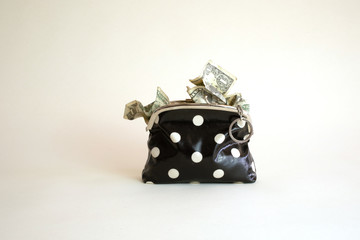 Polka Dot Coin Purse