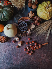 Colorful decorative pumpkins and nuts on dark stone background, autumn fest, harvest time, fatmer`s pumpkin market. Top view, space for text