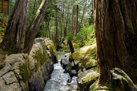 Naturaleza medellin colombia (Parque Arvi) 