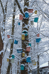 Colorful birdhouses, houses and bird feeders. on a tree in winter