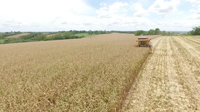  Tractor at harvest 