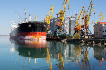 Panamax bulk carrier loaded with wheat. Ship at grain terminal. Port elevator with bulk carrier