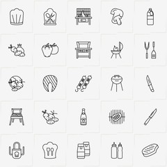 Barbecue line icon set with meat on barbecue, barbecue stand and apron