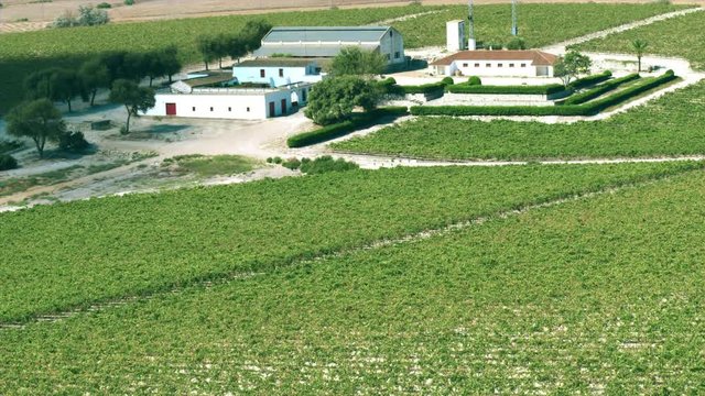 Aerial view of vineyard and typical Spanish farm