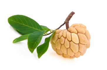 Fototapeta premium Sugar Apple (custard apple, Annona, sweetsop) on white background
