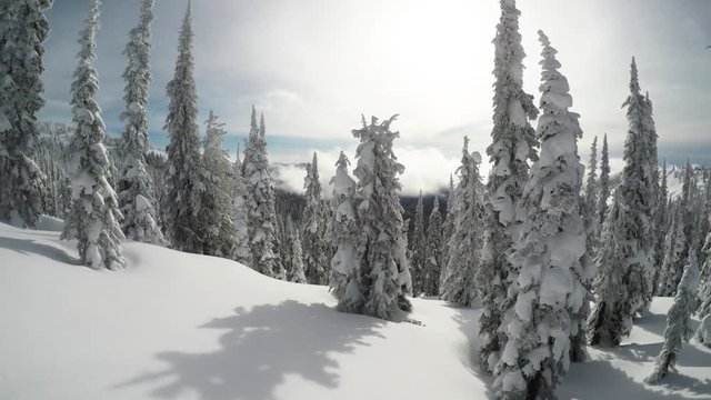 POV, traveling through British Columbia mountains in winter