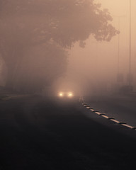 Car headlights in the mist
