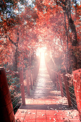 A bridge to the infinite.