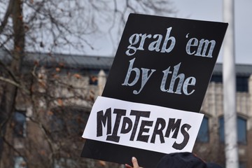 Midterm Election Sign