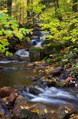 Naklejka na ściany i meble Beautiful Waterfall in Autumn with Yellow Leaves