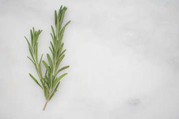 Rosemary Sprigs on a Marble Background