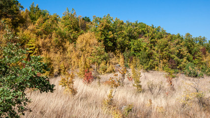 Amazing Autumn landscape Ruen Mountain- northern part of Vlahina Mountain, Kyustendil Region, Bulgaria