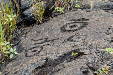 Petroglyphs in lava rock at Pu'uloa along Chain of Craters road, in volcano National Park on the island of Hawaii. Carvings are 400-700 years old.