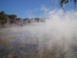 Rotorua thermal pools