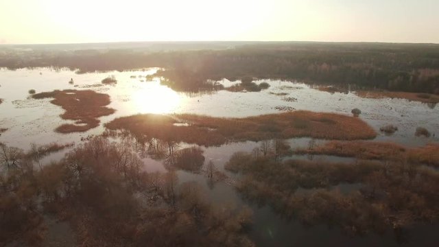 Horizontal tracking aerial shot of trees in water on sunset sunrise. Flooded plain with trees bushes growing during high water spring season with sun shining yellow and orange above water reflection