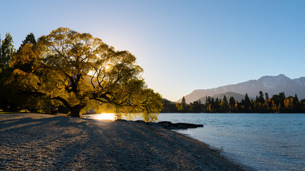 Autumn view in Queenstown at New Zealand