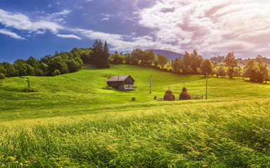 Traditional management of mountain pastures in the Maramures region/Maramures, Romania, Europe