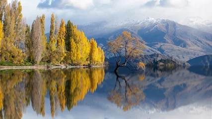 Foto op Canvas eenzame boom in Lake Wanaka op sneeuwberg in Nieuw-Zeeland © sakepaint