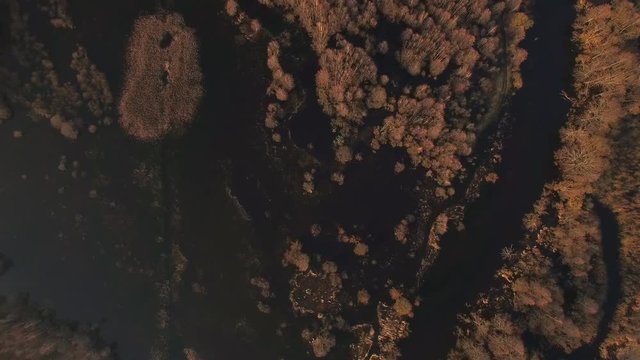 4k aerial vertical tracking flight over colorful texture of river overflow high water yellow brown trees. Drone flying above black surface of swamp motion background. Underwater moss pattern