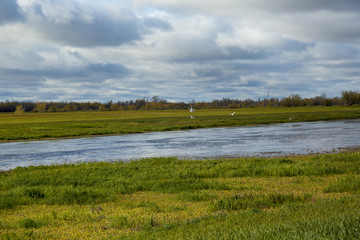 A group of birds hovers above the surface of the reservoir