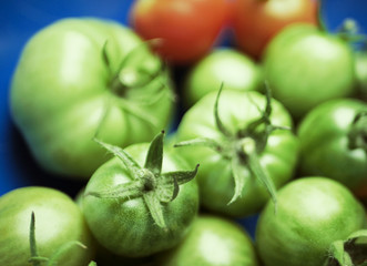 Group of  homegrown tomatoes