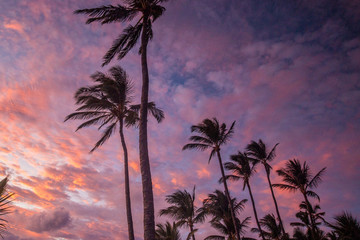 Obraz na płótnie Canvas Sunset on Maui at the Beach