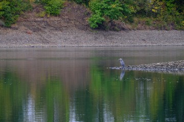 River reflecting trees and cloudy sky