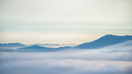 Fototapeta na wymiar Beautiful fog in the morning