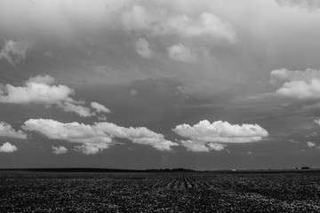 black and white horizon field