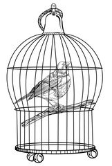 bird in the cage. Vector illustration isolated on white background. Detailed drawing of a bird