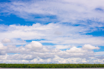 Mangrove forest with sky full of clouds