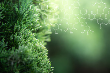 Plants background with biochemistry structure.