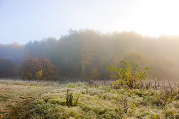 Obraz na płótnie Canvas Fog on nature in the cold morning, autumn in November