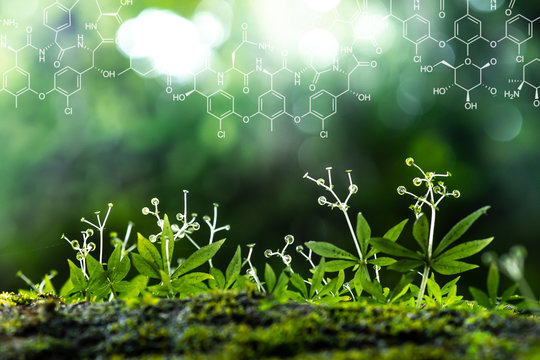 Plants background with biochemistry structure. - Powered by Adobe