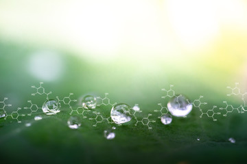 Plants background with biochemistry structure.