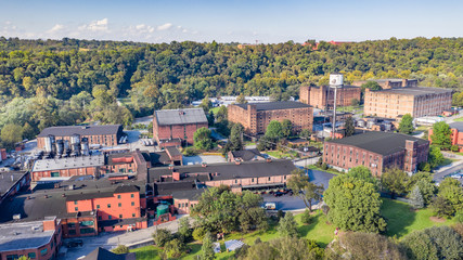 Fototapeta premium Buffalo Trace