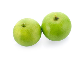 Fresh lemon green on a white background.