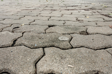 Bricks worms textures on walkway