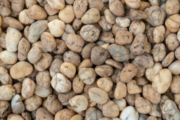 Pebbles stones floor texture for background, garden decoration with pebbles stones
