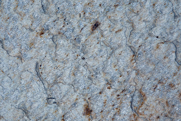 the texture of colorful lichen on the stone