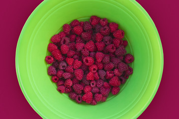 A large bowl of garden fresh raspberries. Big green bowl sitting on a table. View from above looking down on the freshly picked berries.